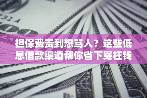 武汉担保费贵到想骂人？这些低息借款渠道帮你省下冤枉钱