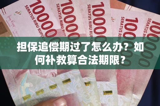 武汉担保追偿期过了怎么办？如何补救算合法期限？