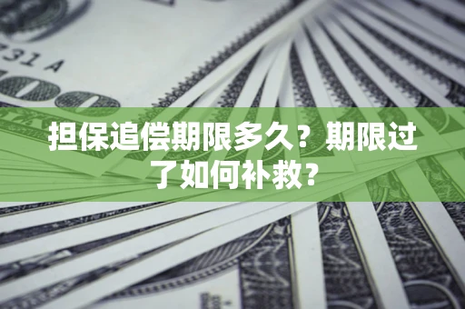 武汉担保追偿期限多久？期限过了如何补救？