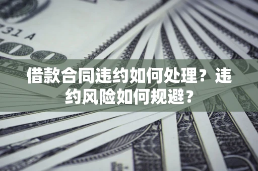 武汉借款合同违约如何处理？违约风险如何规避？