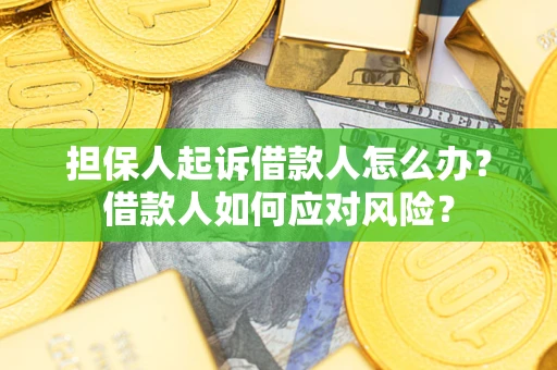 武汉担保人起诉借款人怎么办？借款人如何应对风险？