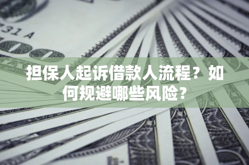 武汉担保人起诉借款人流程？如何规避哪些风险？