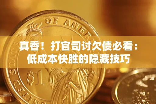 武汉真香！打官司讨欠债必看：低成本快胜的隐藏技巧