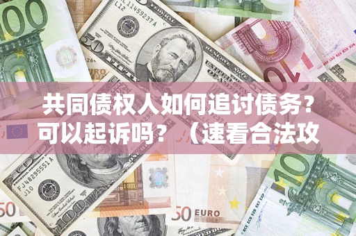 武汉共同债权人如何追讨债务？可以起诉吗？（速看合法攻略）