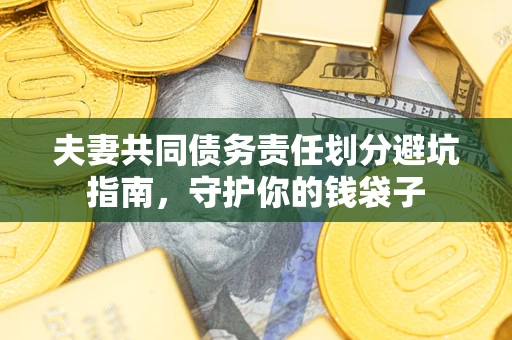 武汉夫妻共同债务责任划分避坑指南，守护你的钱袋子