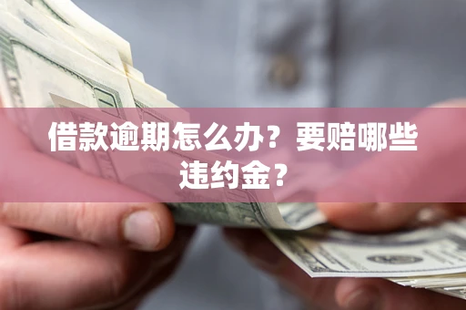 武汉借款逾期怎么办？要赔哪些违约金？